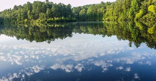 A serene lake reflecting lush green trees and a blue sky with fluffy clouds, creating a peaceful natural scene.