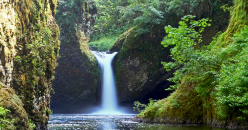 A serene waterfall cascades into a tranquil pool, surrounded by lush greenery and rocky cliffs.