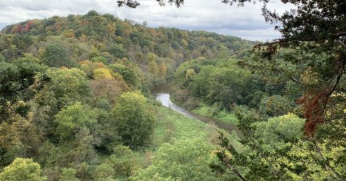 A scenic view of a winding river surrounded by lush green trees and autumn foliage on the hills.