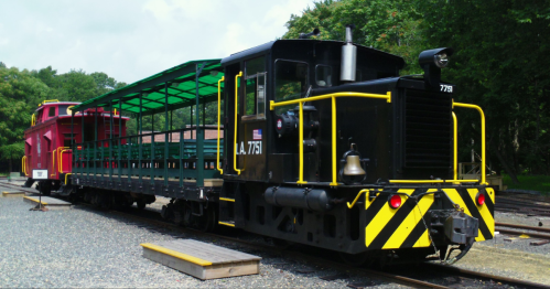 A black and yellow train engine with a green passenger car parked on a gravel track surrounded by trees.