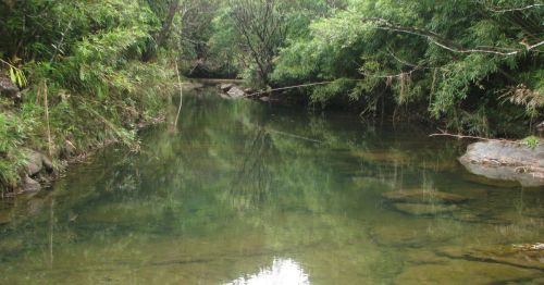 A serene river flows through lush greenery, reflecting the surrounding trees and rocks in calm waters.