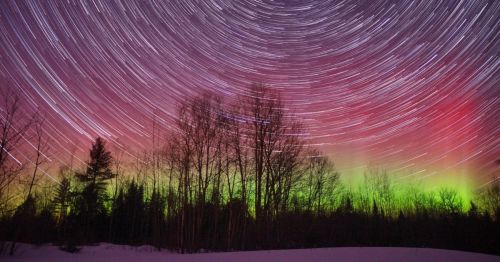 A starry night sky with swirling star trails and vibrant auroras above a snowy landscape and silhouetted trees.