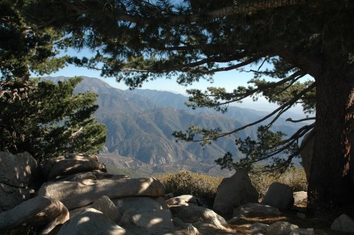 A scenic view of mountains framed by tree branches and rocks, showcasing a clear blue sky in the background.