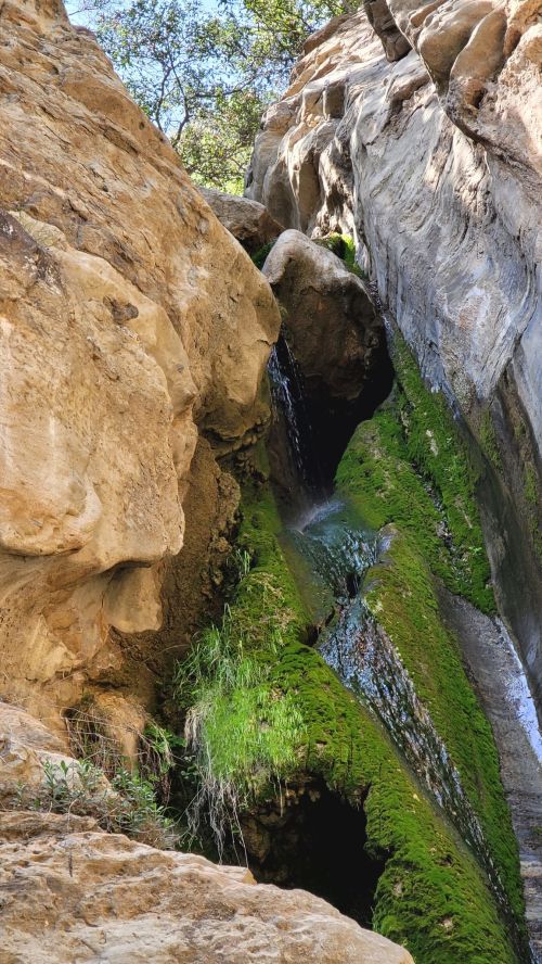 A narrow canyon with moss-covered rocks and a small waterfall flowing between them. Sunlight filters through the trees above.