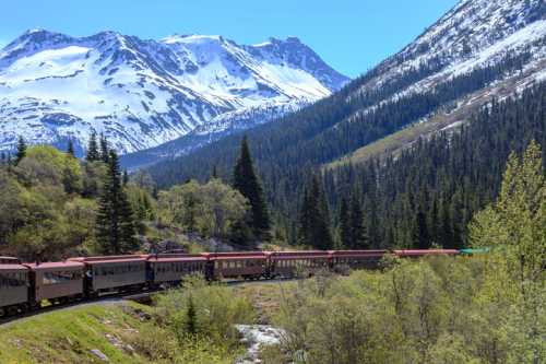 A train winds through a lush green valley with snow-capped mountains in the background under a clear blue sky.