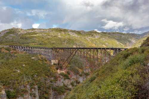 A tall, rusted railway trestle bridge spans a lush, green valley under a cloudy sky.