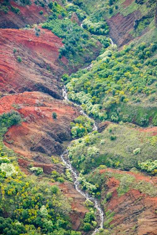 Aerial view of a vibrant canyon with red and green slopes, featuring a winding stream and lush vegetation.