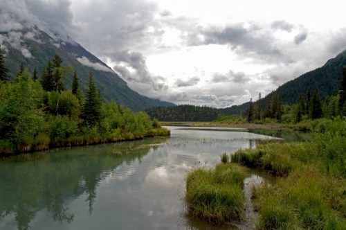A serene landscape featuring a calm river surrounded by lush greenery and mountains under a cloudy sky.