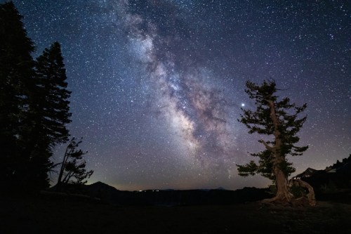 A starry night sky filled with the Milky Way, framed by silhouetted trees against a dark landscape.