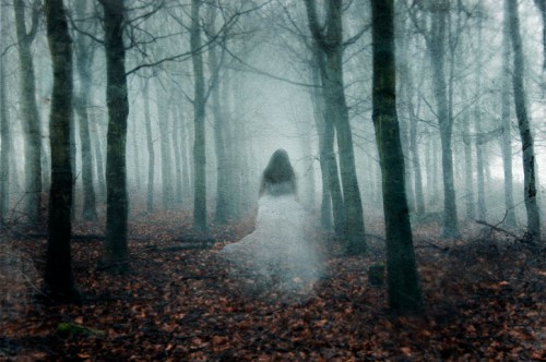 A ghostly figure in a white dress stands among foggy trees in a dark, eerie forest.
