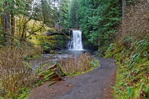 A serene forest scene featuring a waterfall surrounded by lush greenery and a winding dirt path.