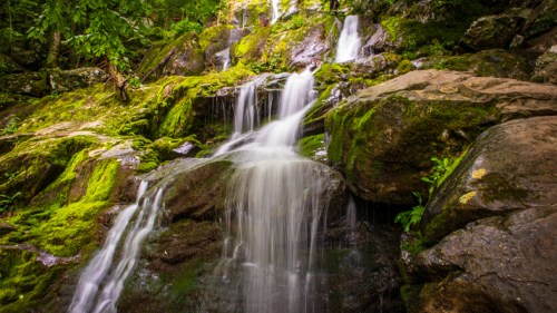 A serene waterfall cascading over moss-covered rocks in a lush green forest.
