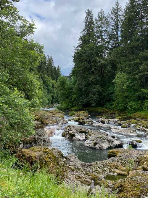 A serene river flows through a lush green forest, with rocky banks and trees lining the water's edge under a cloudy sky.