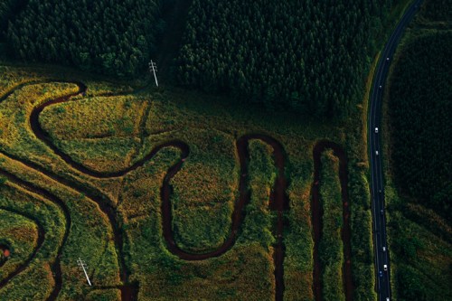 Aerial view of winding paths through lush green fields and forests, with a road and power lines visible.