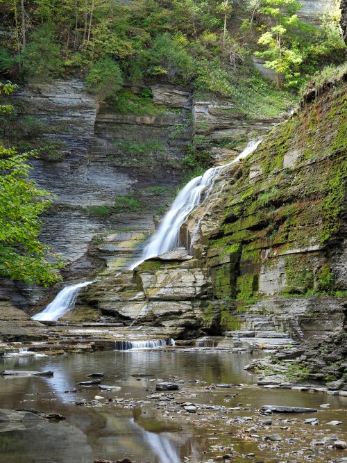 A serene waterfall cascading over moss-covered rocks, surrounded by lush greenery and reflected in a calm pool below.