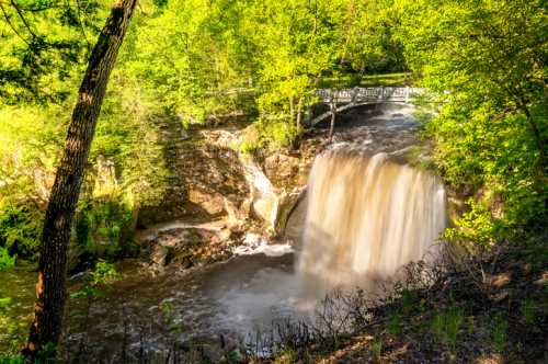 A cascading waterfall surrounded by lush green trees and a rocky landscape under bright sunlight.