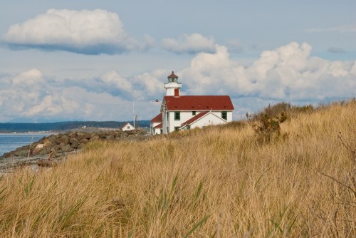 A lighthouse stands near the shore, surrounded by tall grass and a cloudy sky, with water in the background.