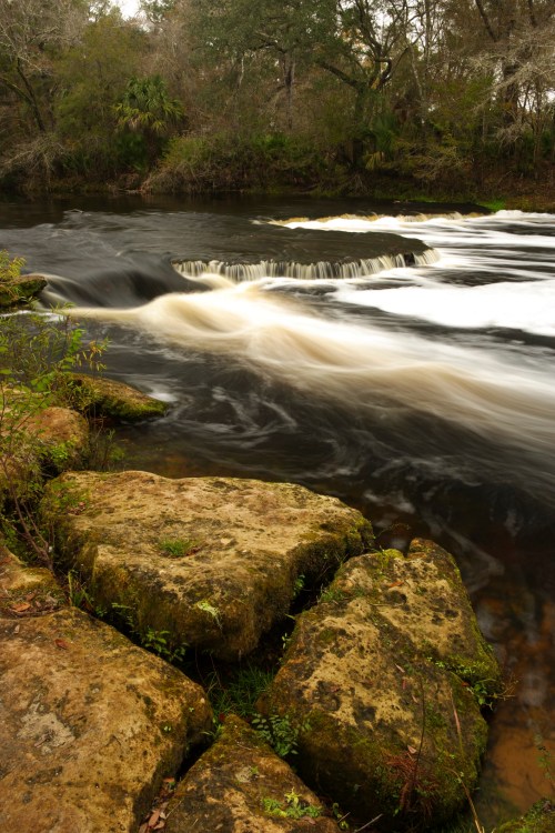 A serene river flows over rocks, surrounded by lush greenery and trees, creating a peaceful natural scene.