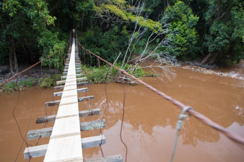 A narrow wooden suspension bridge stretches over a muddy river, surrounded by lush green trees.