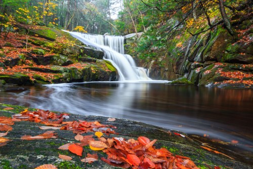 A serene waterfall cascades over rocks, surrounded by autumn leaves and vibrant foliage in a tranquil forest setting.