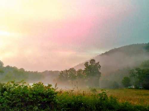 A misty landscape at dawn, with soft pastel colors in the sky and trees silhouetted against a foggy hillside.