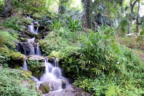 A serene waterfall cascading over rocks, surrounded by lush greenery and tropical plants.