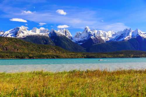 A scenic view of snow-capped mountains beside a turquoise lake, with green grass in the foreground and a clear blue sky.