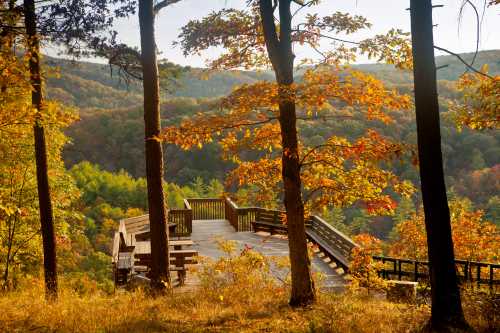 A scenic overlook surrounded by autumn trees, showcasing vibrant fall colors and a distant forested landscape.