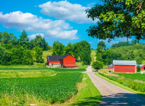 A scenic rural landscape featuring red barns, green fields, and a winding road under a blue sky with fluffy clouds.