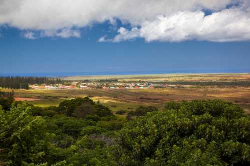 A scenic view of a coastal village surrounded by greenery and fields, under a partly cloudy sky.