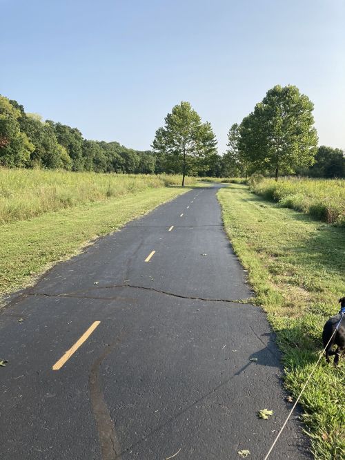 A paved path through a grassy area, lined with trees under a clear blue sky, with a dog on a leash in the foreground.