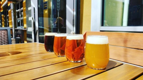 Four glasses of beer in varying colors sit on a wooden table, with sunlight reflecting off the surface.