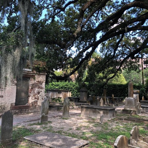 A historic cemetery with weathered gravestones under a large oak tree, surrounded by lush greenery.