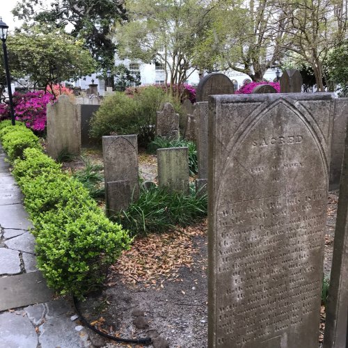 A historic graveyard with weathered tombstones surrounded by lush greenery and blooming pink flowers.