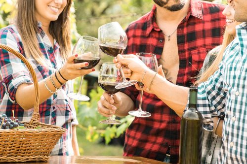 Friends toasting with wine glasses outdoors, surrounded by greenery and a basket of grapes.