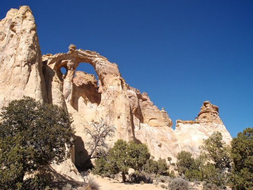 A natural rock formation with an arch, surrounded by desert vegetation and a clear blue sky.