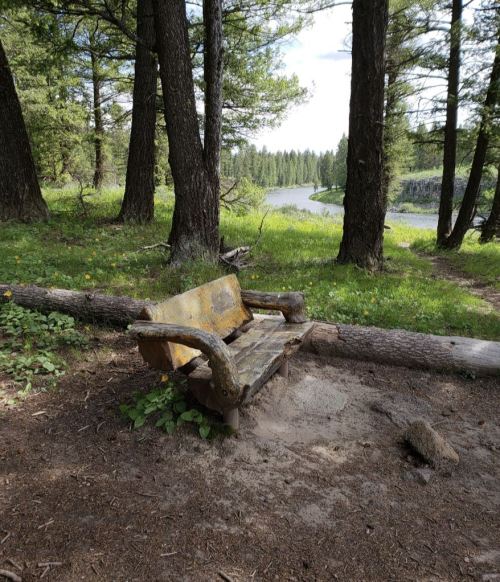 A rustic wooden bench beside a river, surrounded by tall trees and lush greenery.