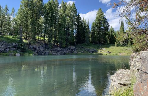 A serene lake surrounded by lush green trees and rocky shores under a clear blue sky.