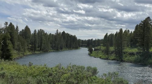 A serene river flows through a lush green landscape, surrounded by tall trees and a cloudy sky.