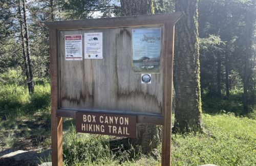 Signpost for Box Canyon Hiking Trail, featuring trail information and regulations, surrounded by trees and greenery.