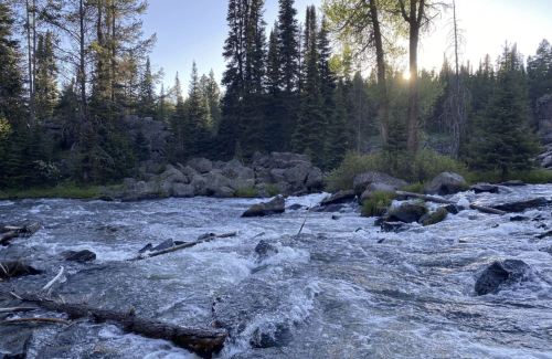 A serene river flows through a forest, surrounded by tall trees and rocks, with sunlight filtering through the branches.