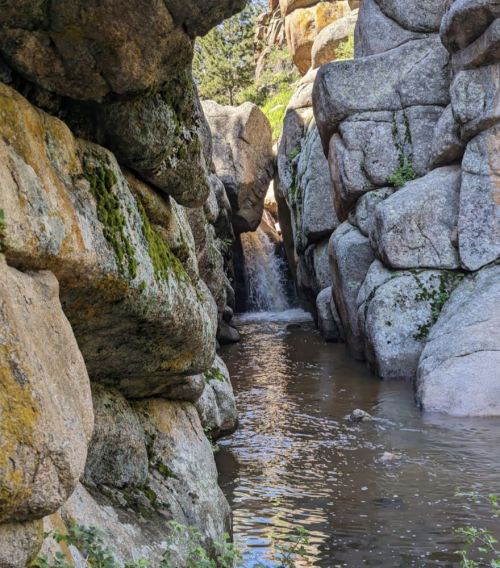 A narrow canyon with smooth, moss-covered rocks and a small waterfall flowing into a serene pool of water.