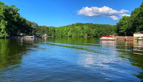 A serene lake surrounded by lush green trees under a clear blue sky, with boats docked along the shore.