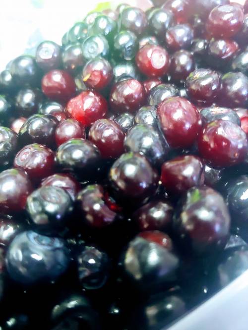A close-up of a pile of dark, shiny blueberries, showcasing their rich color and texture.