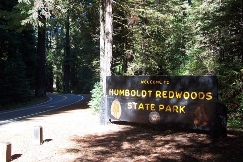 Welcome sign for Humboldt Redwoods State Park, surrounded by tall trees and a winding road.