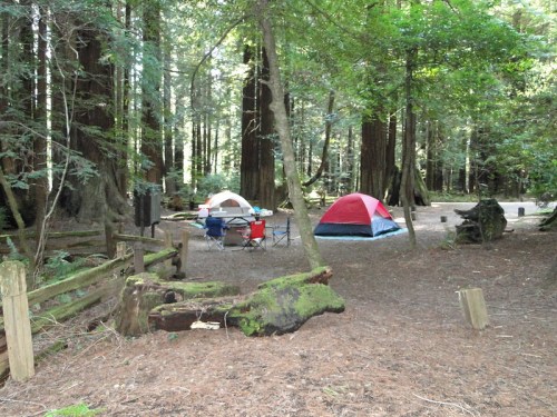 A serene forest campsite with two tents, chairs, and a fire pit surrounded by tall trees and lush greenery.