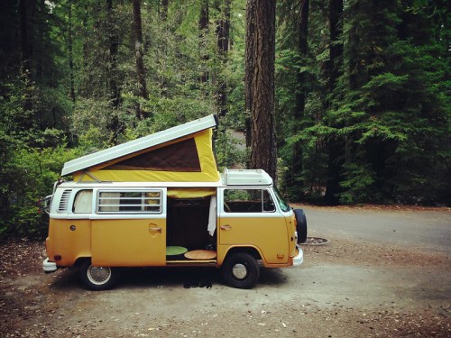 A vintage yellow camper van parked in a lush forest, with its pop-up roof raised and surrounded by tall trees.