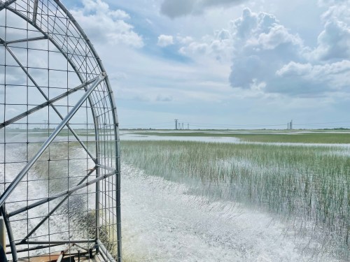 View from an airboat on a marsh, with tall grasses and a cloudy sky in the background.