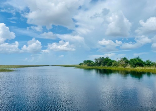 A serene wetland scene with calm water, lush greenery, and a bright blue sky dotted with fluffy clouds.