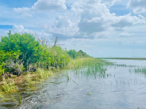 Lush green vegetation along a calm waterway under a bright blue sky with fluffy clouds.
